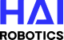 Hai Robotics Logo